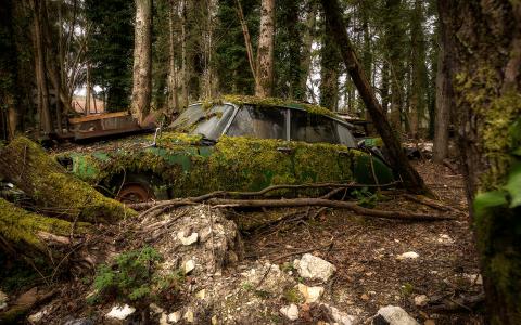 被遗弃的废弃过度生长经典汽车经典林木高清壁纸