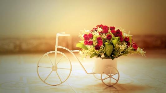 浪漫玫瑰自行车壁纸