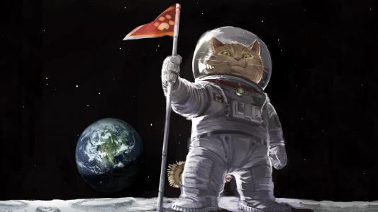 卡通猫宇航员月球壁纸