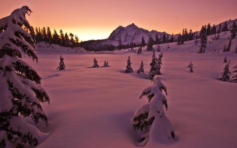 日落冬季雪山树木景观手机壁纸