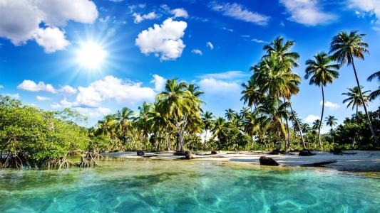 美丽的风景，热带，沙滩，棕榈树，海，阳光壁纸