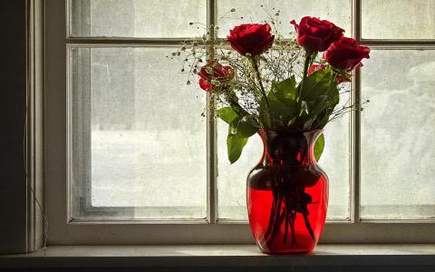 玫瑰花瓶窗口鲜花壁纸