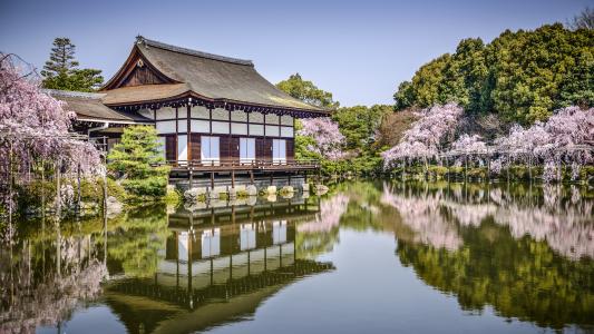 Heian Jingu，京都，日本，鲜花，池塘，春天壁纸