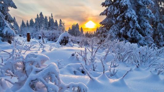 设置太阳在下雪的风景墙纸