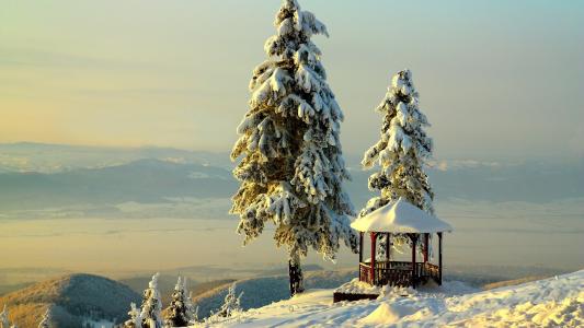雪冬季凉亭树景观高清壁纸