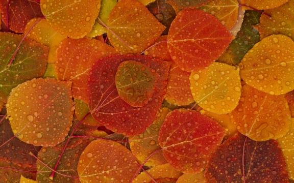 秋季美丽风景壁纸