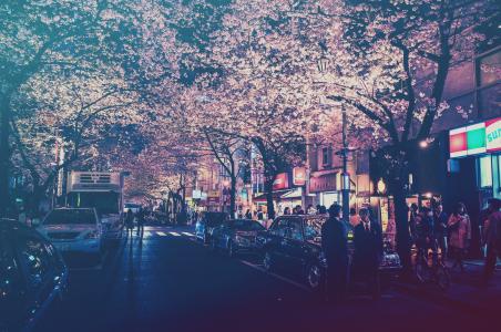 城市，日本，灯，街，路灯，过滤器，汽车，樱花，人物壁纸