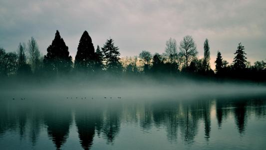 湖心岛壁纸上一个雾蒙蒙的早晨