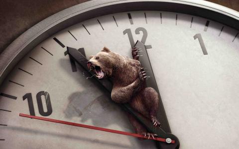 时钟表盘上的熊的创意图片