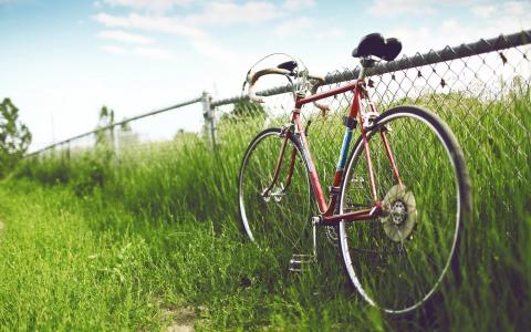 自行车壁纸的围栏草地边缘