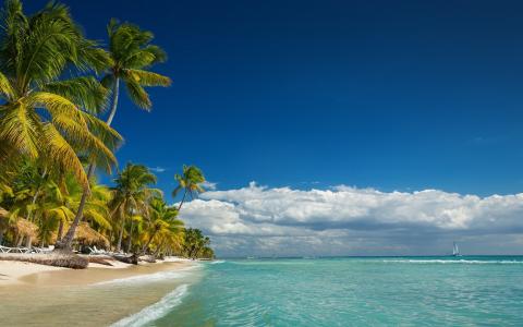 景观，性质，岛，海滩，棕榈树，海，夏天，热带，假期壁纸