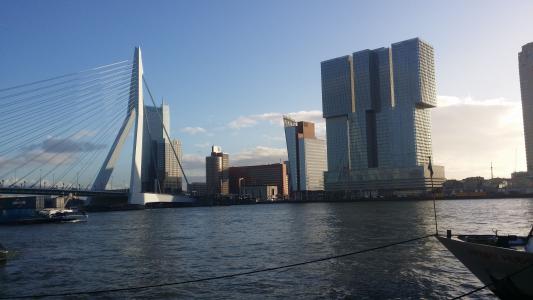 城市，鹿特丹，桥，建筑，鹿特丹，Erasmusbrug，荷兰壁纸