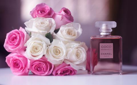 香奈儿Coco Mademoiselle香水，白色和粉红色的玫瑰花朵壁纸