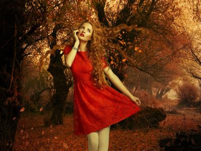 红裙子的女孩，秋天，树叶，树木的壁纸