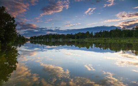 洛根马丁湖，美国阿拉巴马州，树木，水中的倒影壁纸