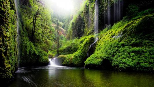 俄勒冈州，河流，水，瀑布，大自然，森林，树林，绿色，风景壁纸