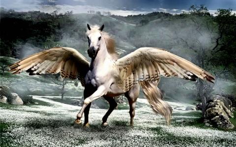 飞马动物美丽的梦想童话幻想马马白色的翅膀高清壁纸