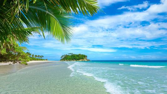 碧海蓝天，海滩，海岸，棕榈树，热带，水壁纸