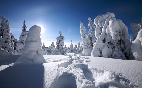 芬兰冬季高清壁纸