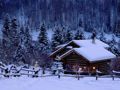 房子小屋树森林树冬季雪篱笆高清壁纸