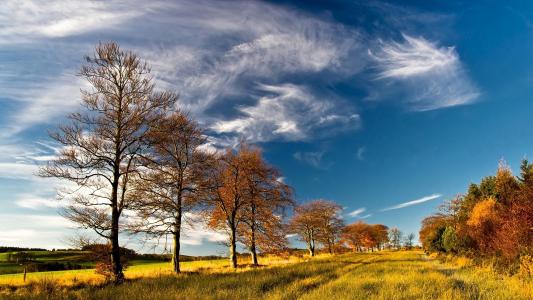 秋天，树木，草地，天空，云朵壁纸