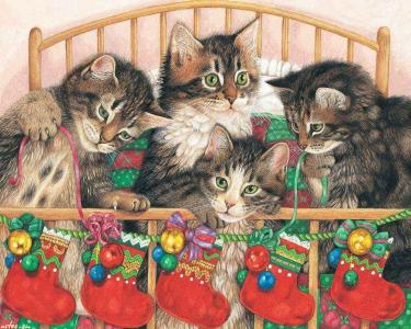 猫咪在床上动物猫圣诞节的时候四画宠物丝带袜子高清壁纸