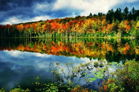 秋天，湖，森林壁纸