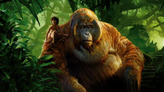Mowgli国王路易丛林书2016年壁纸