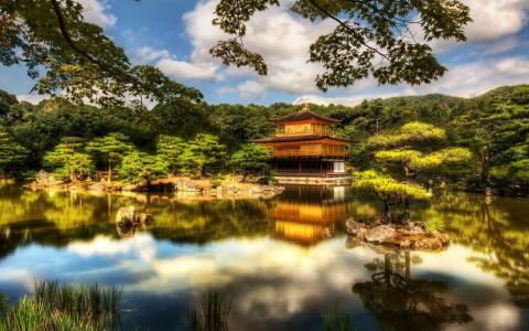 寺，亭，京都，日本，树，湖泊壁纸