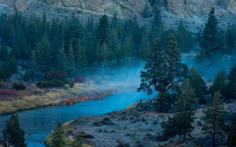 雾，河，早上，森林，俄勒冈州，性质，日出，小山，景观，水壁纸
