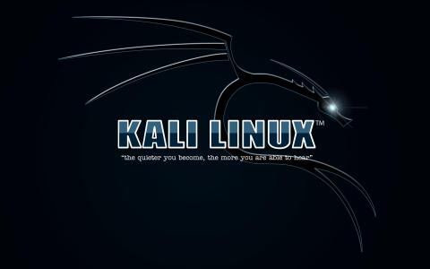 卡莉Linux，深蓝色背景壁纸