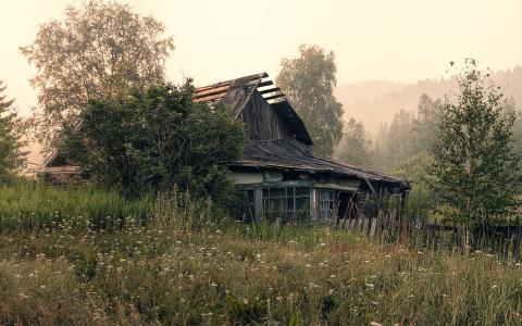 旧房子，早晨，树木，草地，野花，雾壁纸