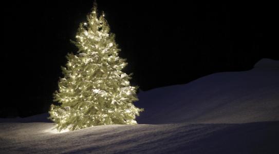 圣诞树，花环，雪，晚上壁纸