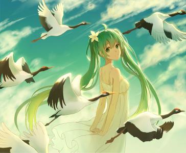 Vocaloid，Hatsune Miku，长发，双胞胎，白色连衣裙，头发花，鸟，云，动漫女孩壁纸