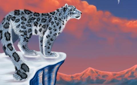 Snow Leopard壁纸