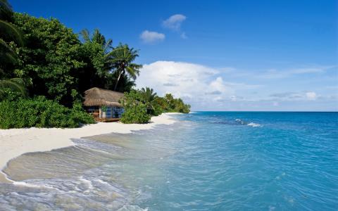 马尔代夫，热带，海，沙滩，棕榈树，小屋壁纸
