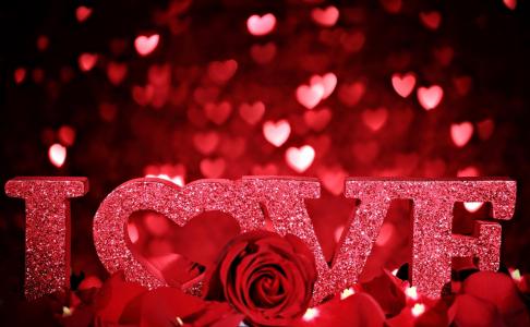 情人节，爱情，题词，玫瑰，花瓣，浪漫，心，闪光壁纸