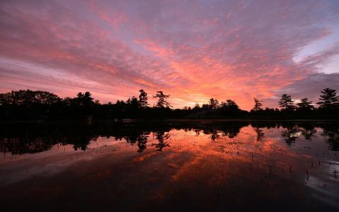 加拿大，安大略省，湖，树，晚上日落，水中倒影壁纸