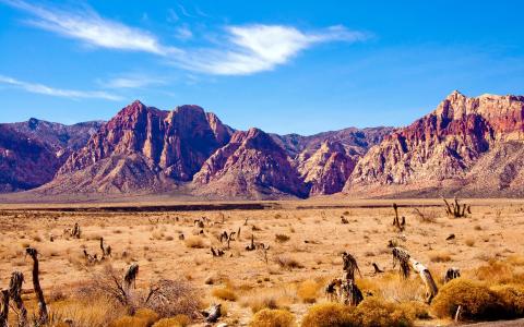 内华达州沙漠，岩石山脉，红色的岩石峡谷壁纸