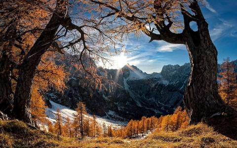 景观，性质，山，日出，森林，雪峰，冬季壁纸