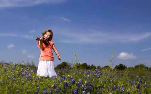 花田的小女孩与小提琴墙纸