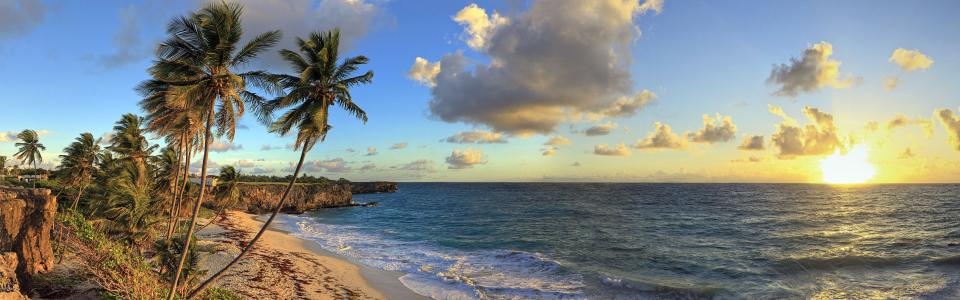 底湾海滩，巴巴多斯，加勒比海，美丽的热带风光壁纸