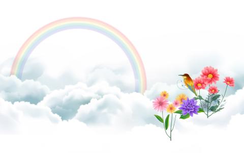 鸟与彩虹高清壁纸
