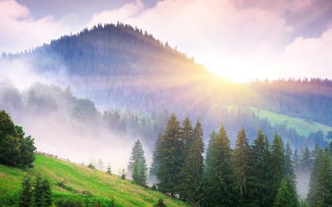 美丽的早晨自然，山，雾，黎明，树木，阳光壁纸