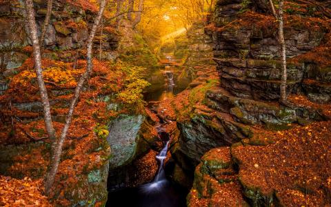 秋季森林岩石石流瀑布游戏中时光倒流阳光树高清壁纸