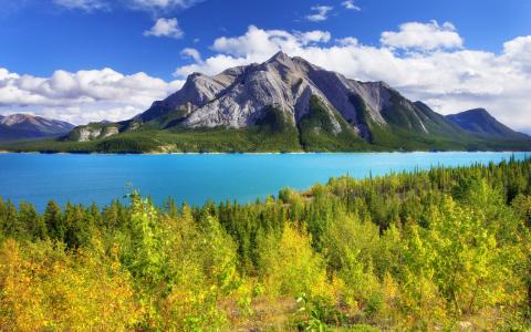 亚伯拉罕湖，班夫公园，加拿大艾伯塔省，天空，山，湖泊，树木的壁纸