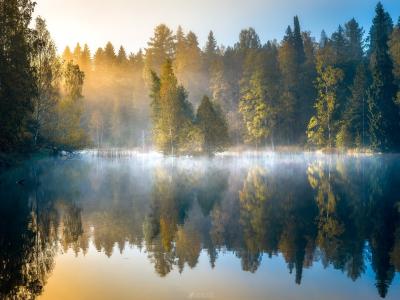 森林，雾，湖，树，autumn，芬兰壁纸