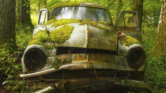 旧车被遗忘在树林里的壁纸