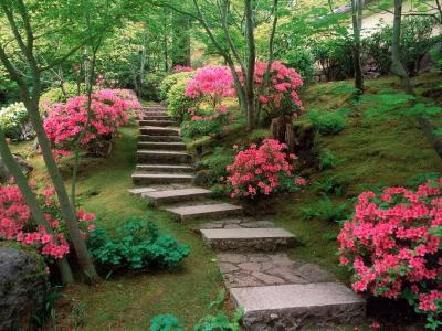 杜鹃花的日本花园高清壁纸