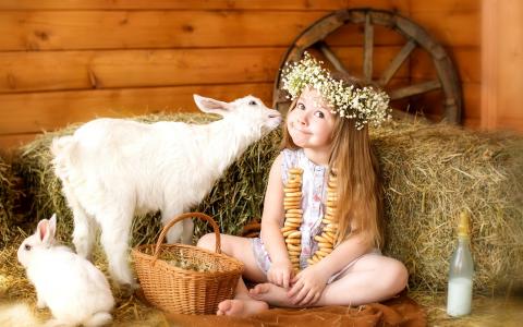 可爱的女孩，花环，山羊，兔子，篮子，鸡蛋壁纸
